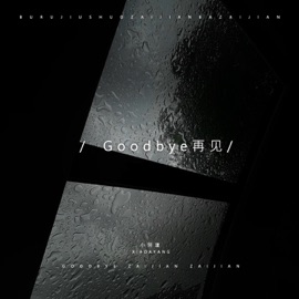 Goodbye再见 (卡点节奏版) 小阿漾