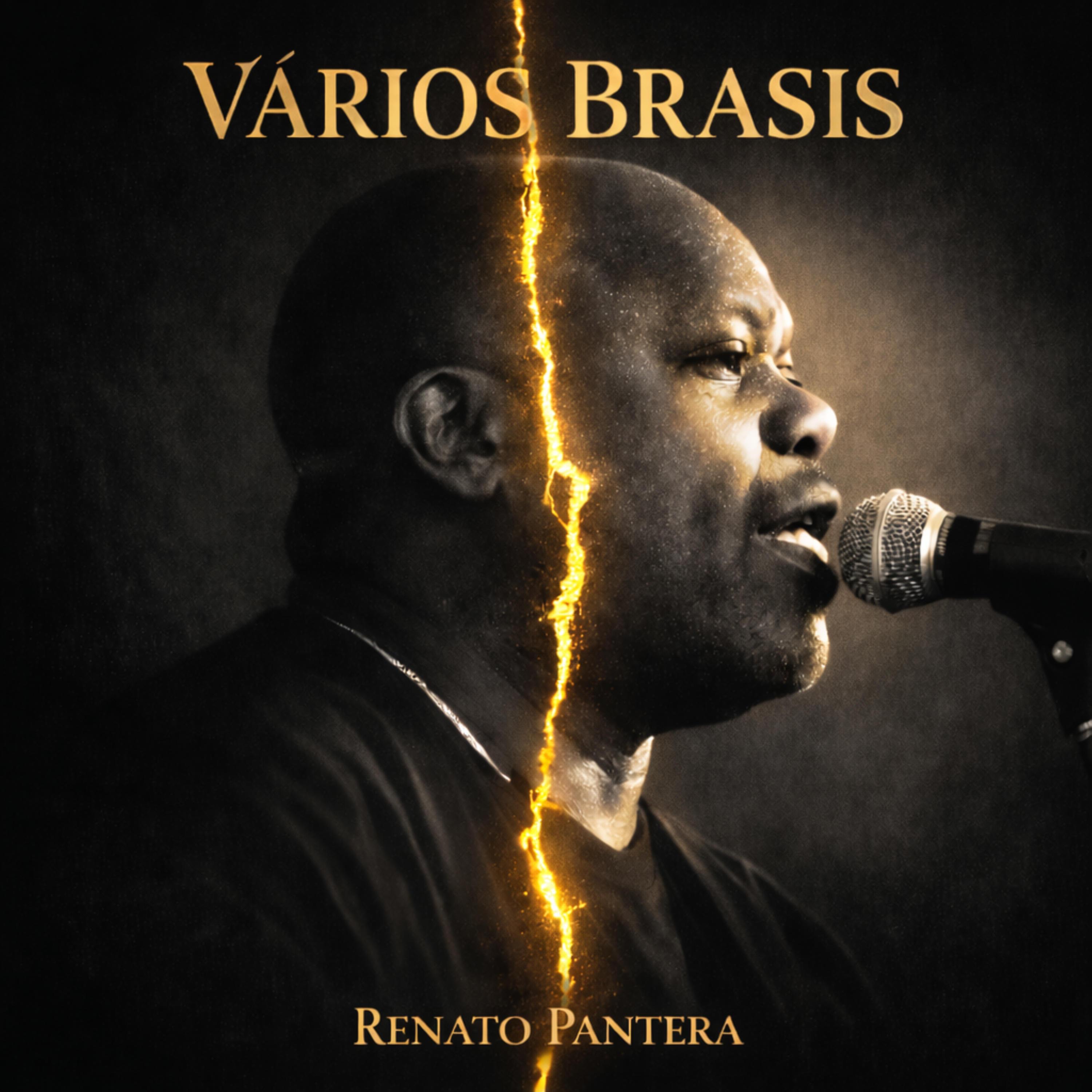 VARIOS BRASIS - Single