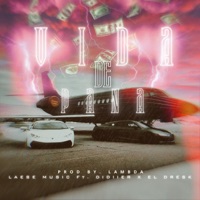 Vida de Pana (feat. Didiier_oficiial & El DreskBby) - Single - LAESEMUSIC