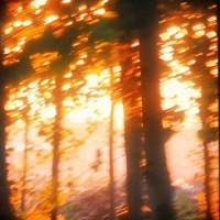 Everything I Never Was - Single - Sternn