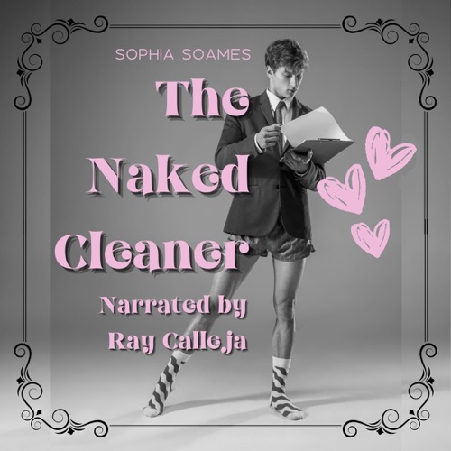 The Naked Cleaner (Unabridged) cover