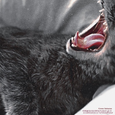 Territorial - Single