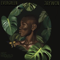 Evergreen - Jaywon