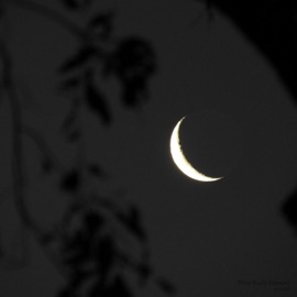 What Really Matters? so.tired