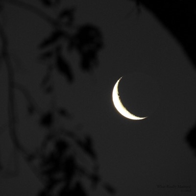 What Really Matters? - Single