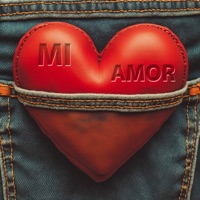 Mi Amor (feat. DJ Steri) - Single - Scory Kovitch, Noelia & Tii Alexandre