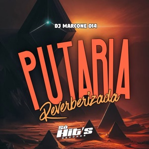 Putaria Reverberizada