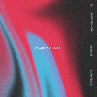 Check am (Remix) - Single - Gospel hints, Zic Music & Amichael Genre