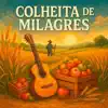 Colheita de milagres