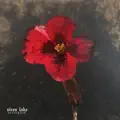 Oceans Apart