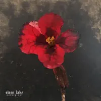 Oceans Apart