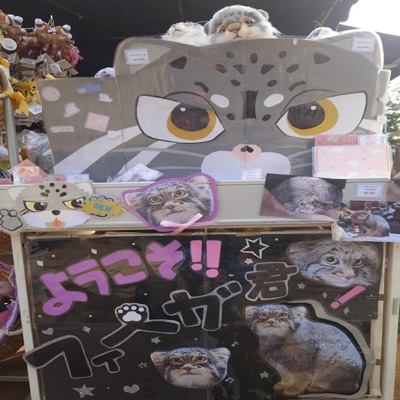 poster (feat. one47, Wondermothh & Ticox) - Single