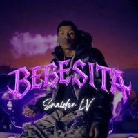 Bebesita (feat. Snaider) - Single - Drax_sixx