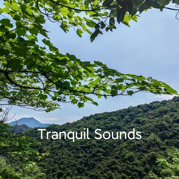 Tranquil Sounds