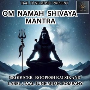 OM NAMAH SHIVAYA  MANTRA