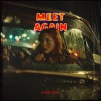 Meet Again - Single - Albert Vishi