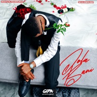 Jola Bani - Single - Scotts Maphuma & ShaunMusiq