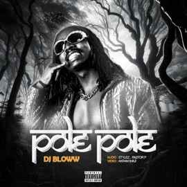 Pole Pole Dj Bloww