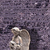 I'm Gone (feat. Yung Van) - Single - Rayna Frayji