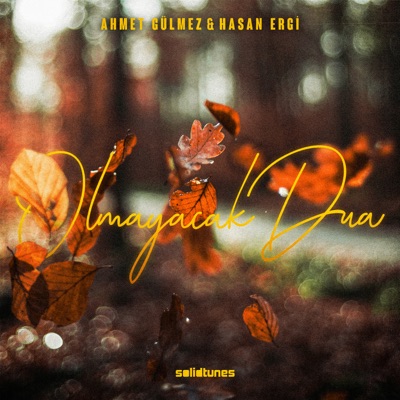 Olmayacak Dua - Single