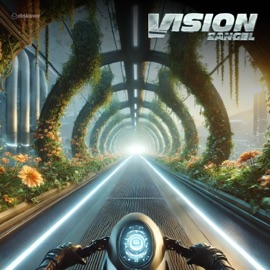 Vision Zangel