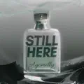 STILL HERE
