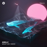 What Do I Need - Single - 开拓者雷达 & Aimllc