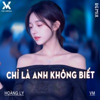 Chỉ Là Anh Không Biết (Remix) - Single - Hoàng Ly & VM