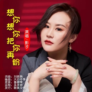 想你想你把你再盼 - Single