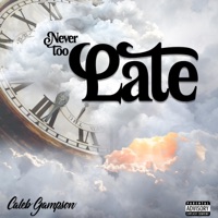 Never Too Late (Radio Edit) - Single - Caleb Gampson