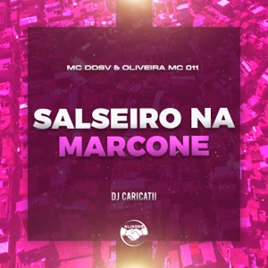 Salseiro na Marcone (feat. MC Ddsv)