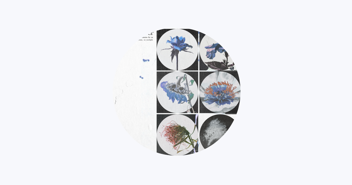 wave to earth - Apple Music