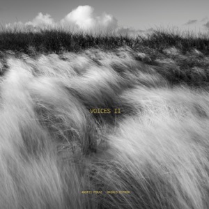 Voices II - Single
