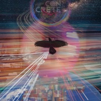 As the Crow Flies - Concrete Disco