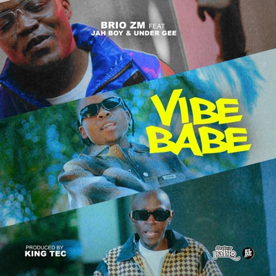 Vibe Babe (feat. Jah Boy & Under Gee) - Single