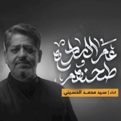 طحنهم عم الساده song art