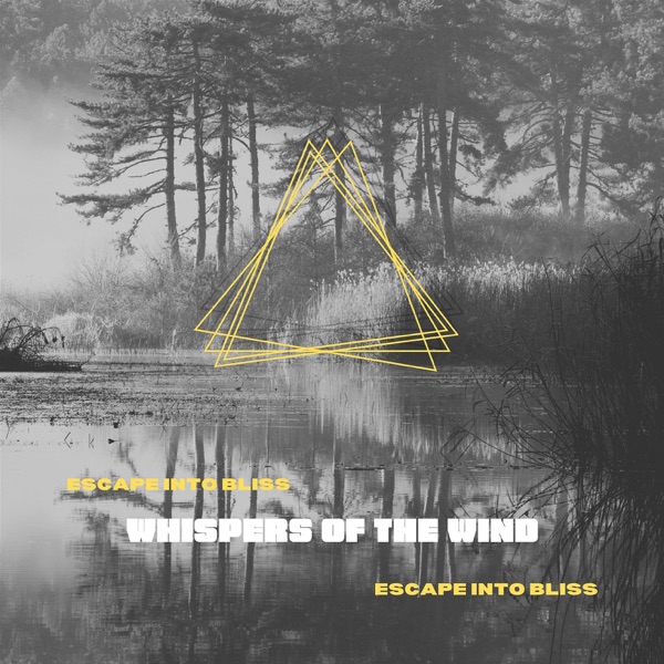 Whispers of the Wind: New Age Harp Enchantments