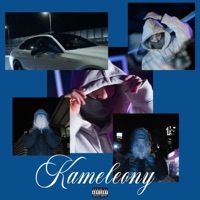 KAMELEONY (feat. Skibovicz & Pakal) - Single - Bobin