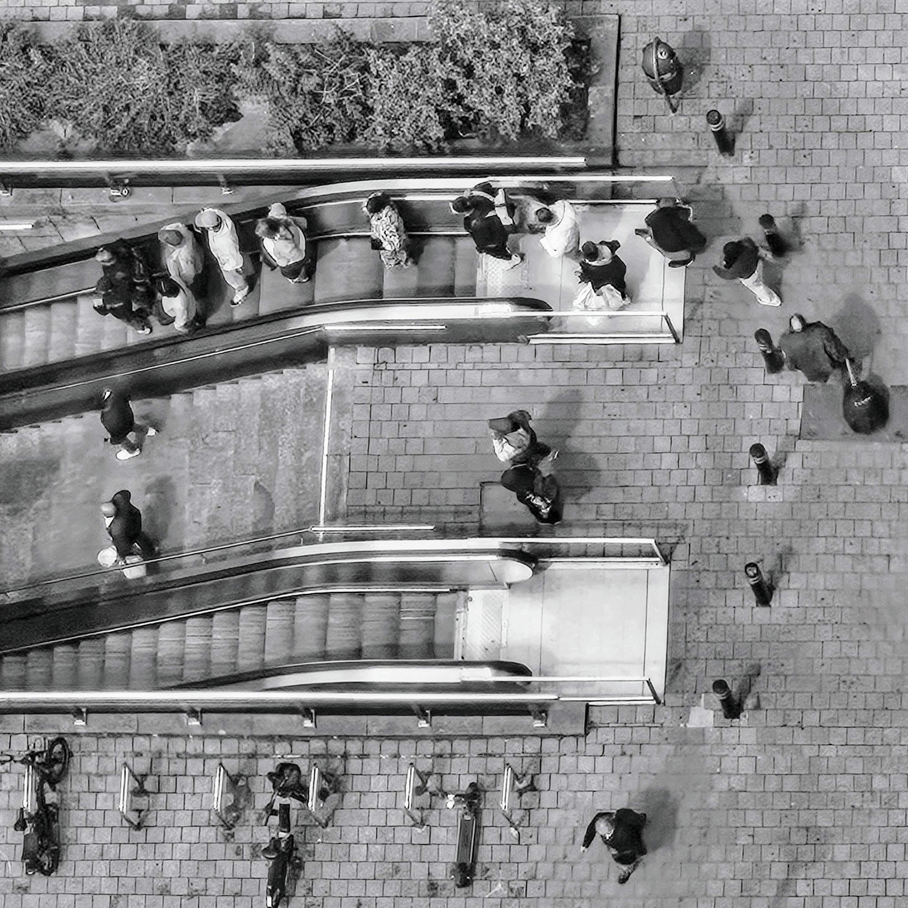 Far from the Pack - Single