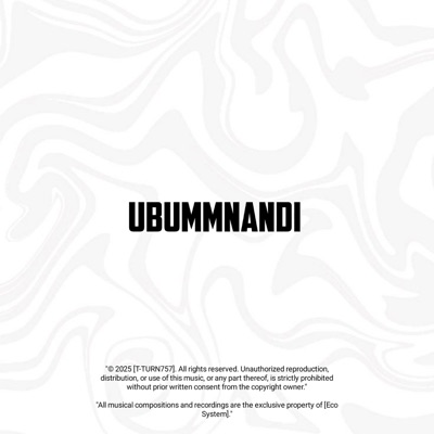 Ubummnandi (feat. T-TURN 757) - Single