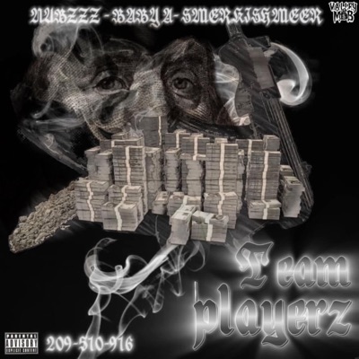 Team Playerz (feat. BABY A & Smerkishmeer) - Single