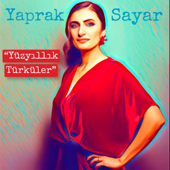 Evlerinin Önü Handır