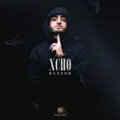 Вороны