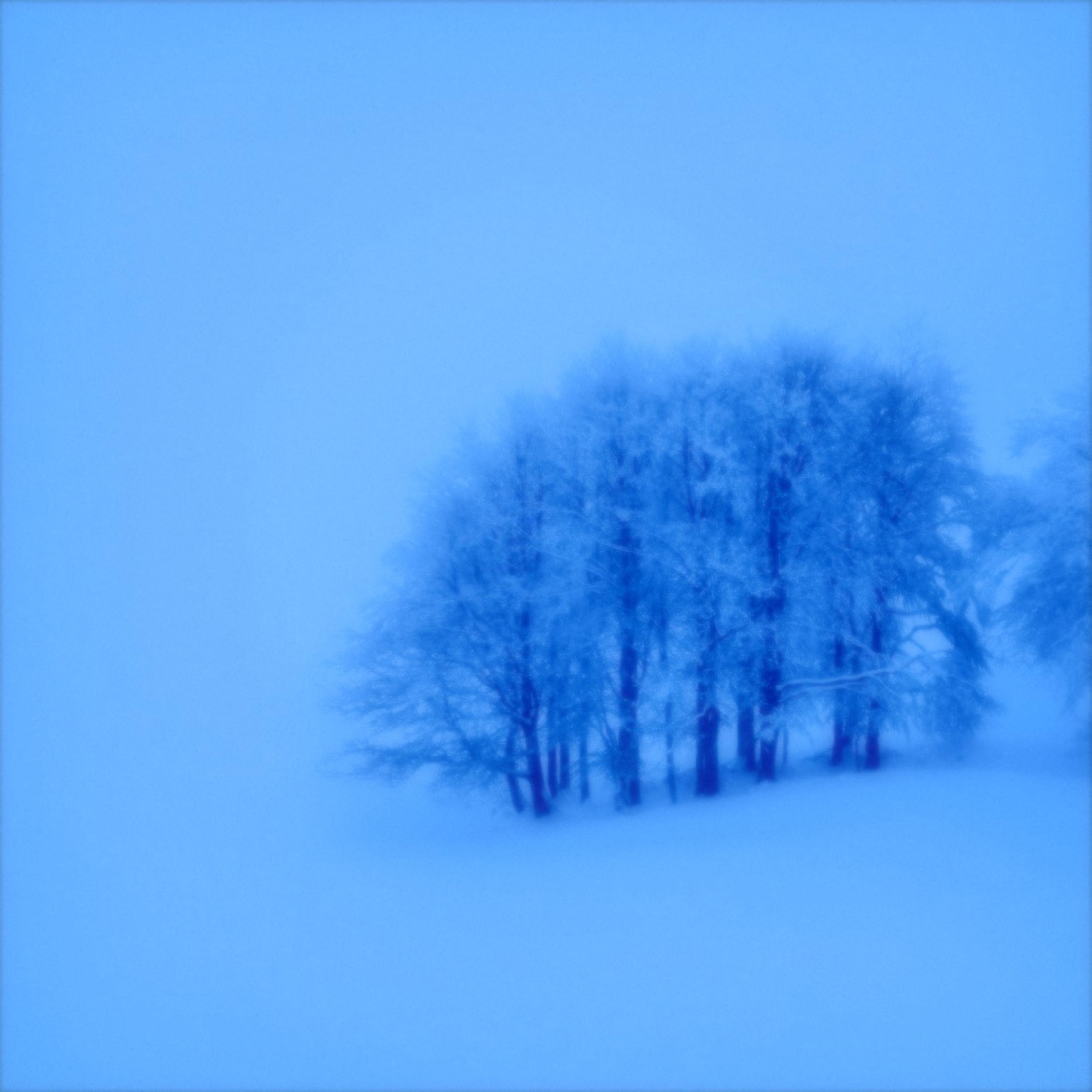 still dreaming... - Single