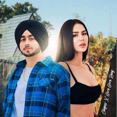 Cheques X Gora Gora Rang - Single