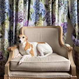 One Day At A Time Thiago Trosso