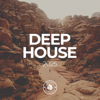 Разные артисты - Deep House 2025 обложка