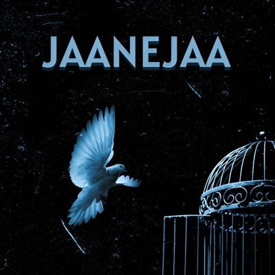 JAANEJAA - Single