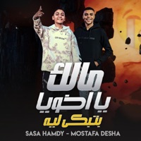مالك يا اخويا بتبكي ليه (سيمبا خد نظرة حسد) (feat. Mostafa Disha & Sasa Hamdy) - Single - Mana production