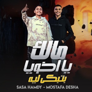 مالك يا اخويا بتبكي ليه (سيمبا خد نظرة حسد) (feat. Mostafa Disha & Sasa Hamdy)